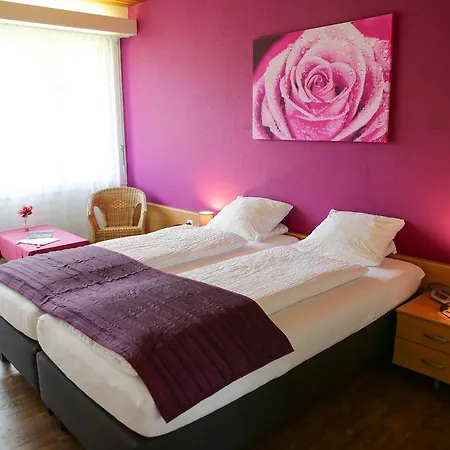 Lowen Hotel Wimmis