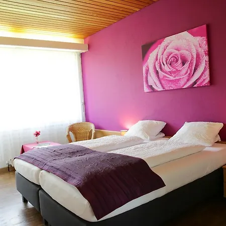 Hotel Lowen Wimmis